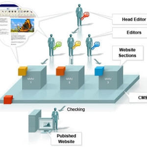 Sisteme de gestiune de continut (CMS)